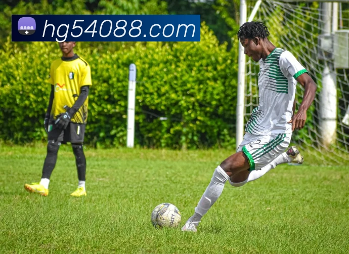 赛事专题整合